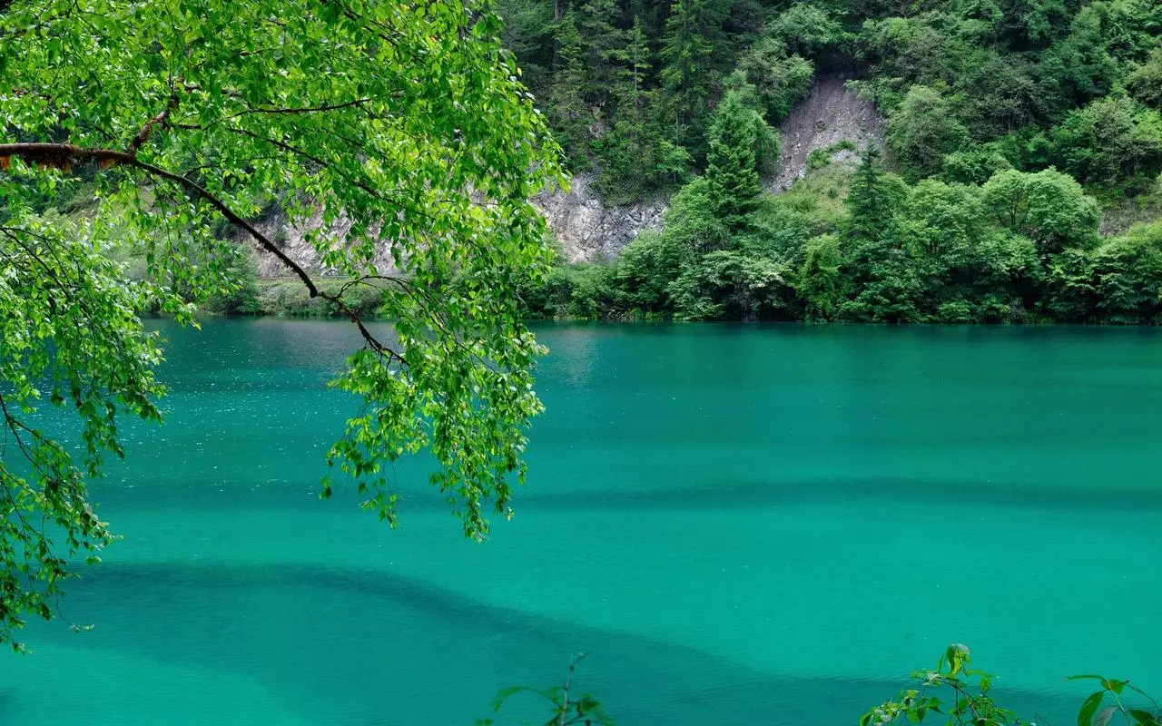 高质量独特智能系统